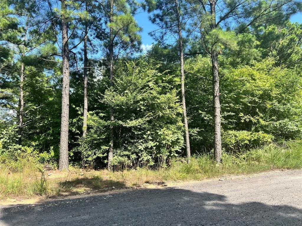 Photo of 24 Evergreen Vista Loop