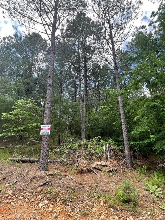 Photo of 734 Timber Creek Trails South XI