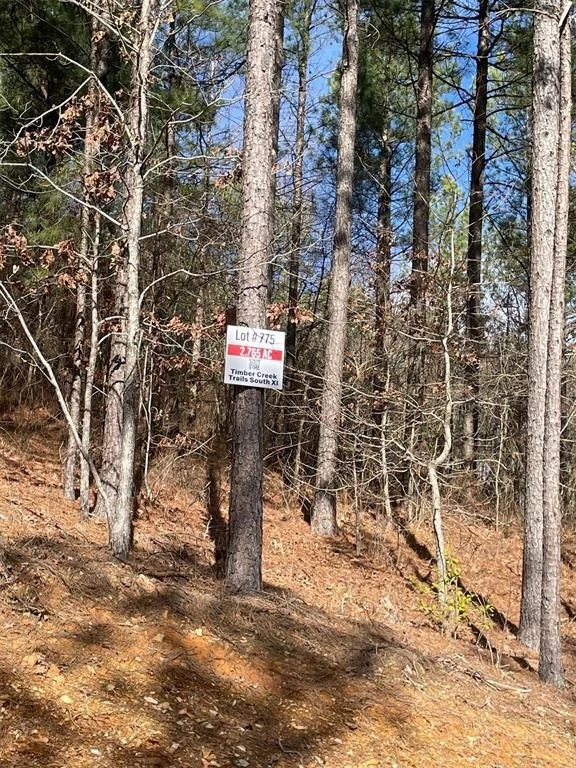 Photo of 775 Timber Creek Trails South XI