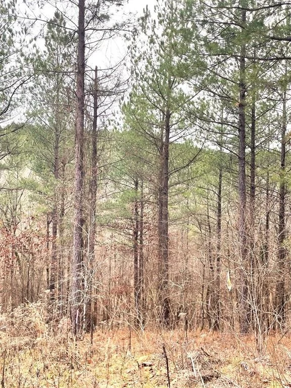 Photo of 715 Timber Creek Trails South XI