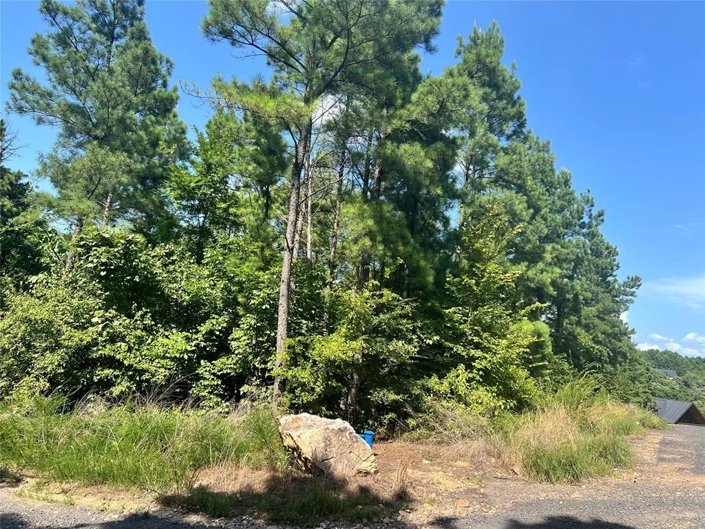 Photo of 24 Evergreen Vista Loop