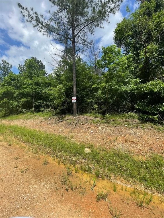Photo of 712 Timber Creek Trails South XI
