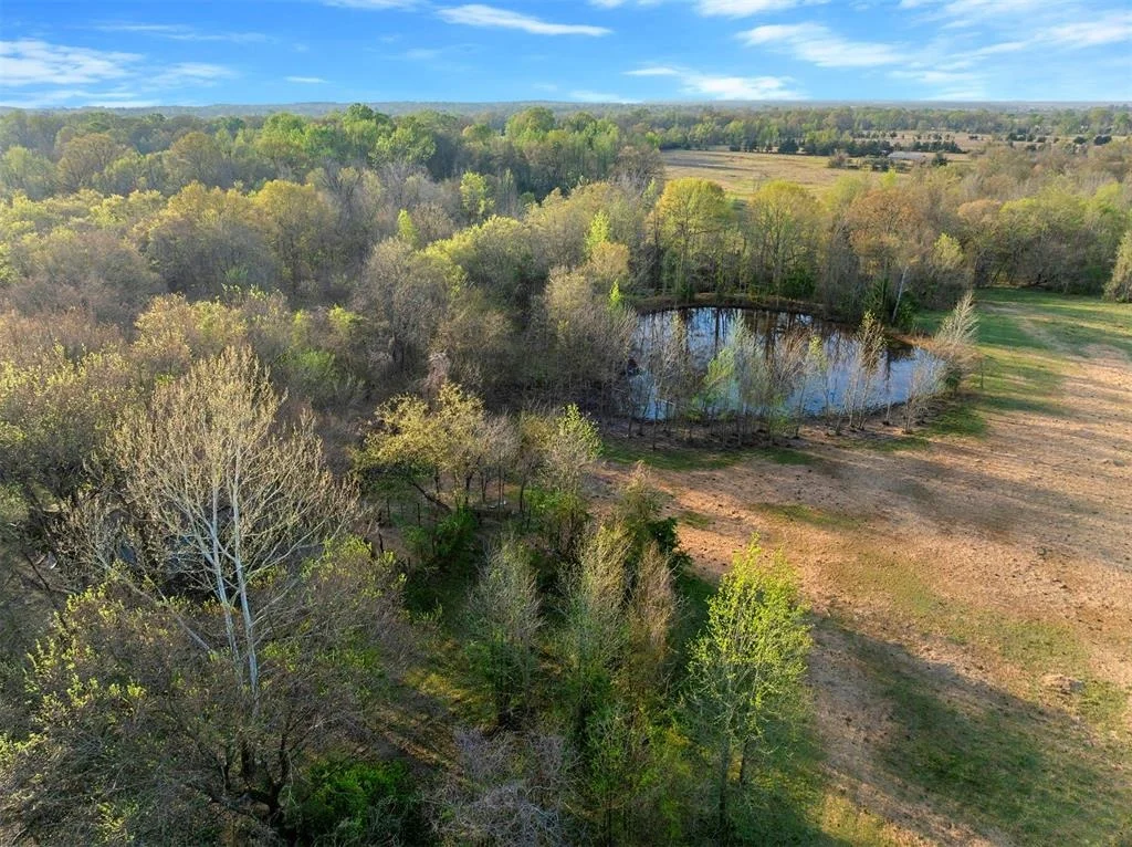 Photo of 2822 Womack Road