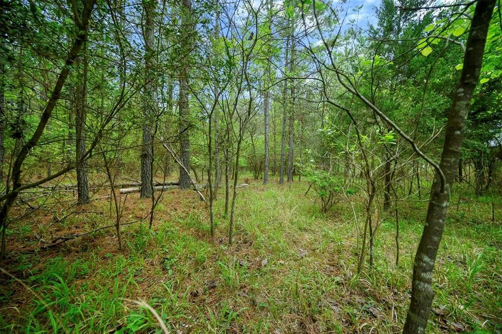 Photo of 561 Track 1 Camp Ranch Road
