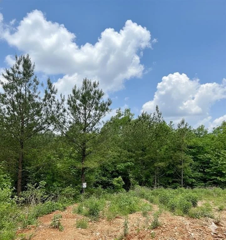 Photo of 656 Timber Creek Trails South XI