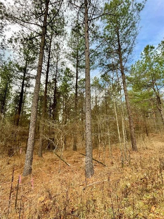 Photo of 748 Timber Creek Trails South XI