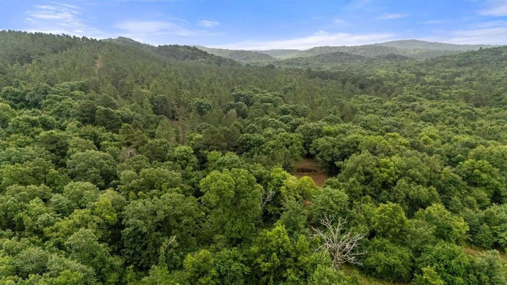 Photo of 219 Lost Hazel Trail