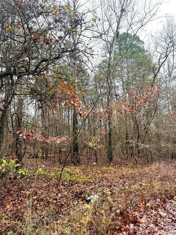 Photo of 209 Timber Creek Trail