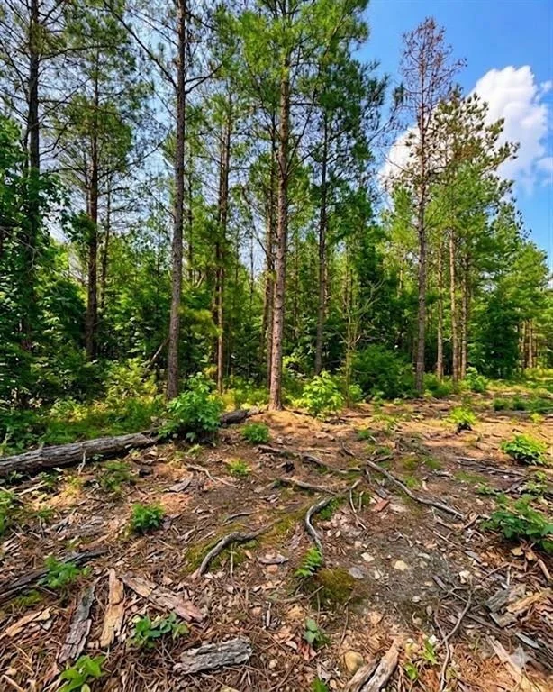 Photo of 122 Southern Locust Trail