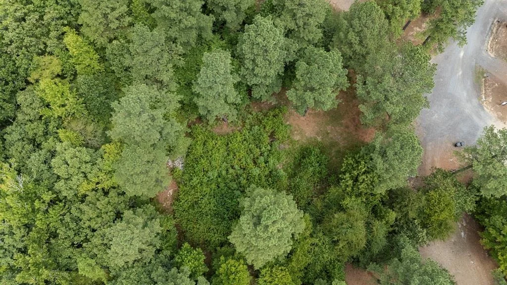 Photo of 179 Coffee Tree Trail