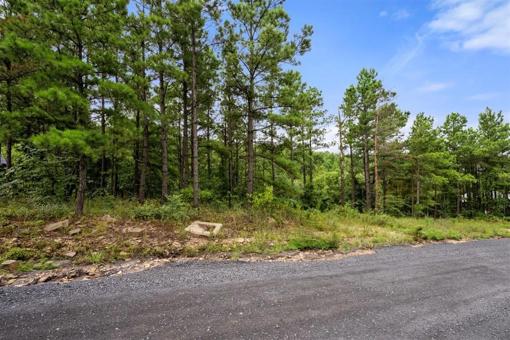 Photo of 796 Timberline Trail