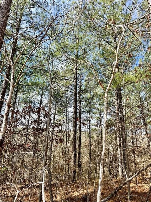 Photo of 764 Timber Creek Trails South XI