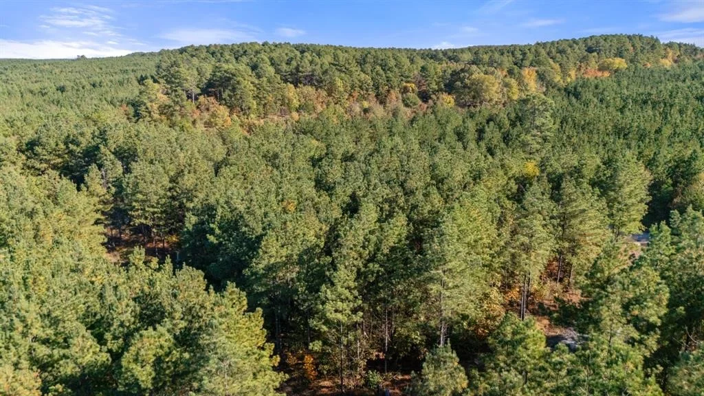 Photo of 24 Cedar Tree Trail