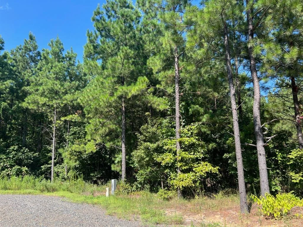 Photo of 53 Weathered Timber Trail