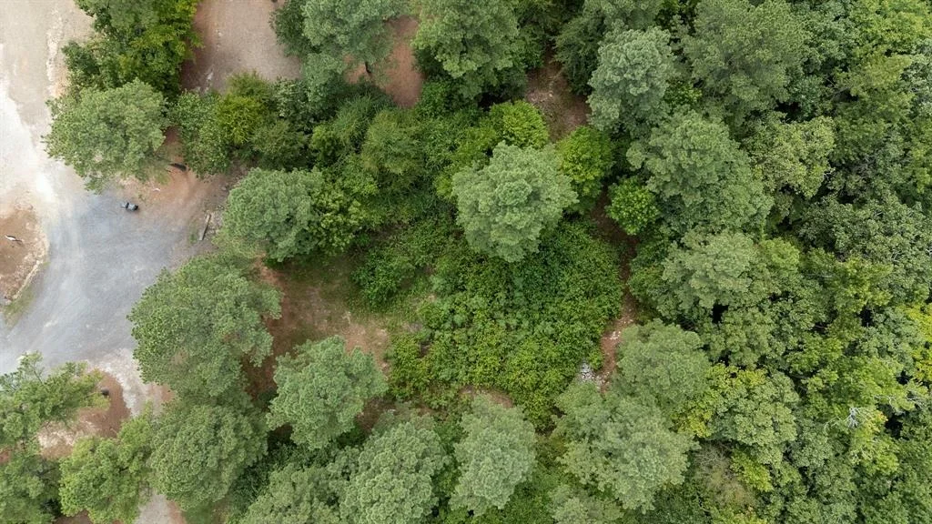 Photo of 179 Coffee Tree Trail