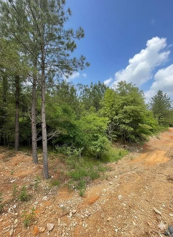 Photo of 668 Timber Creek Trails South XI