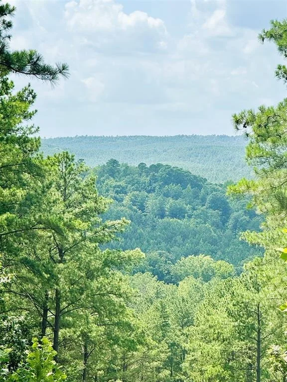 Photo of 85 Green Apple Trail