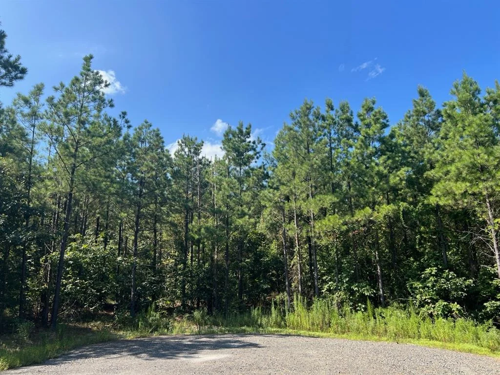 Photo of 53 Weathered Timber Trail