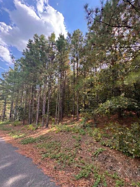 Photo of 131 S Spruce Trail