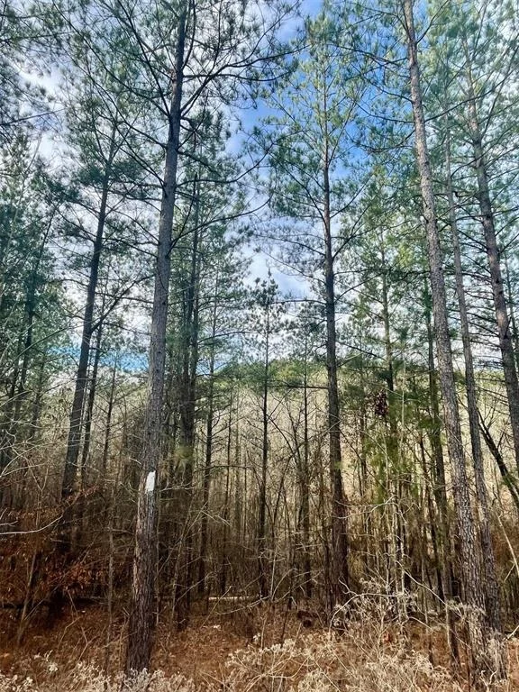 Photo of 707 Timber Creek Trails South XI