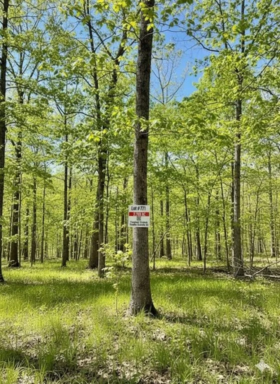 Photo of 771 Timber Creek Trails South XI