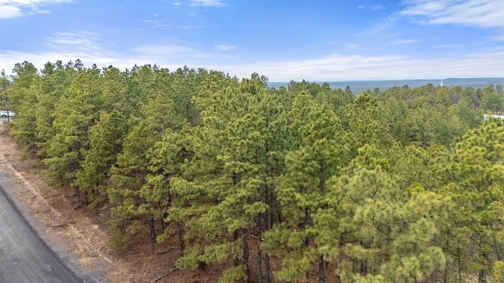 Photo of 905 Timberline Trail