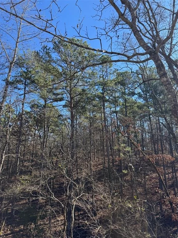 Photo of 132 Western CEDAR Trail