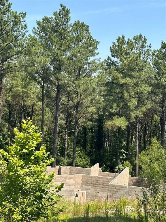 Photo of 85 Green Apple Trail