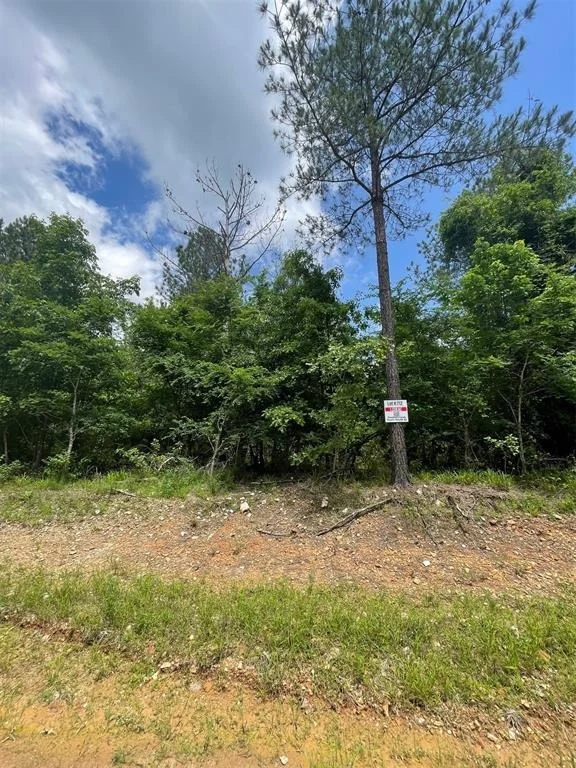 Photo of 712 Timber Creek Trails South XI