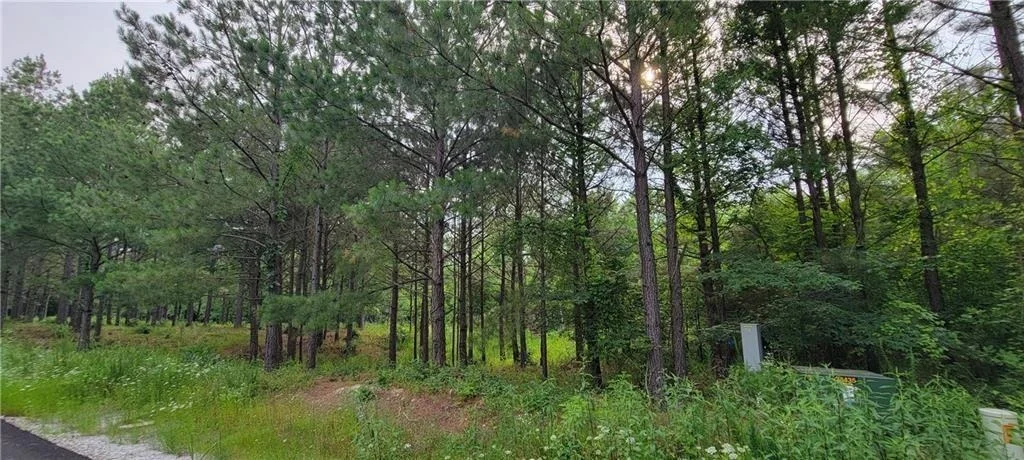 Photo of 28 Creek Side Trail