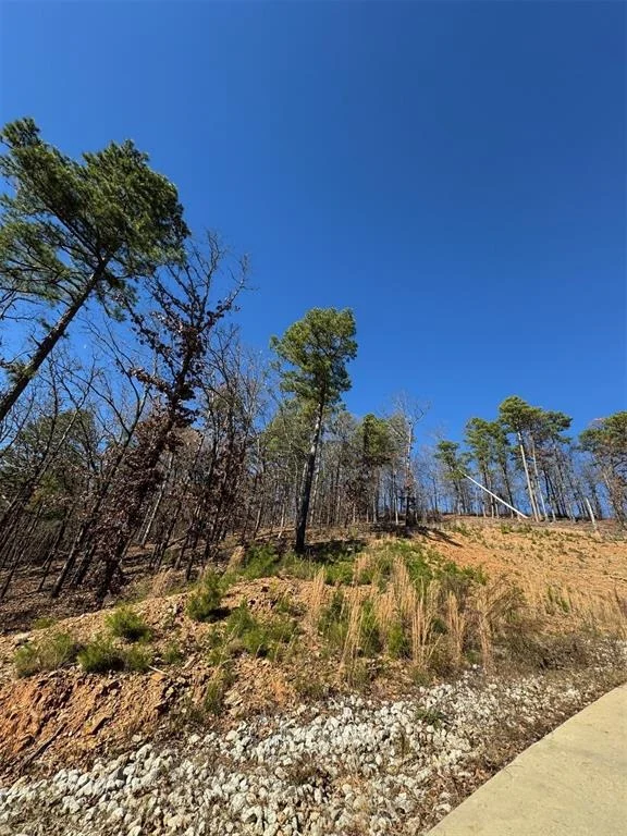 Photo of 253 Western Pine Trail