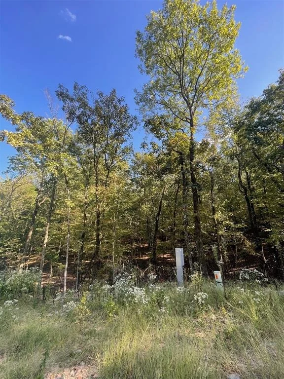 Photo of 767 Timber Creek Trails South XI