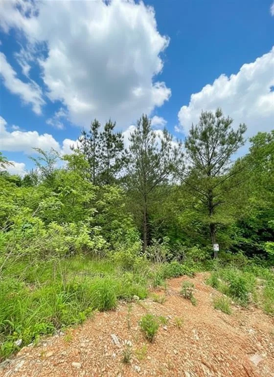 Photo of 656 Timber Creek Trails South XI