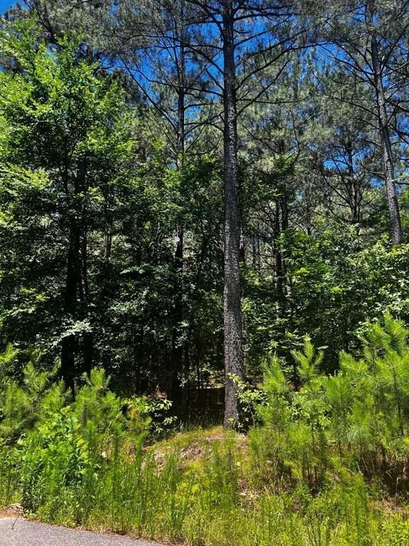 Photo of 83 Pleasant Cypress Trail