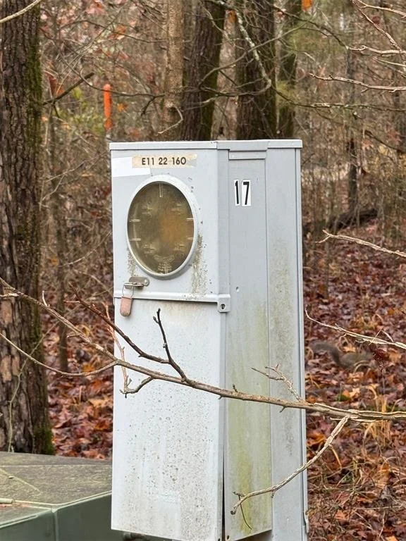 Photo of 209 Timber Creek Trail