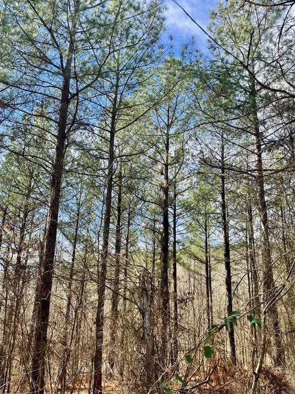 Photo of 764 Timber Creek Trails South XI
