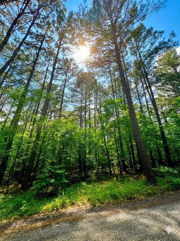 Photo of 26 Mangrove Road