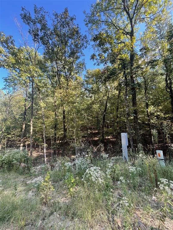 Photo of 767 Timber Creek Trails South XI