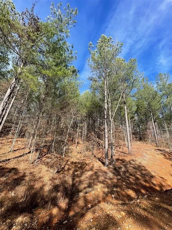 Photo of 776 Timber Creek Trails South XI