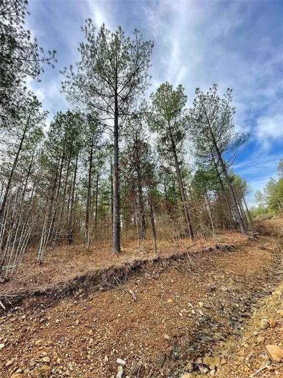 Photo of 719 Timber Creek Trails South XI