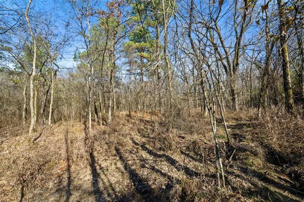 Photo of 323 Marked Pine Lane