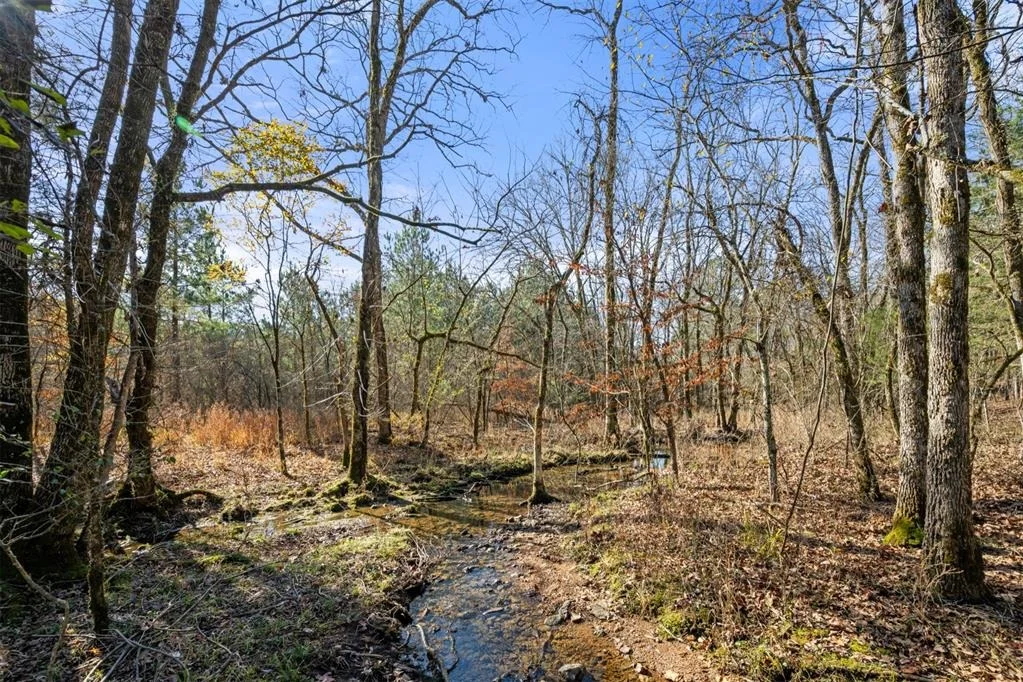 Photo of 323 Marked Pine Lane