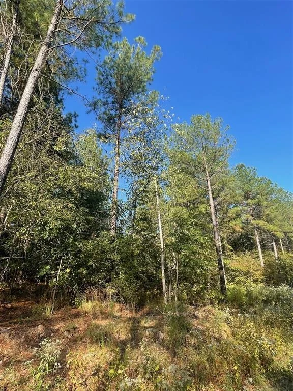 Photo of 753 Timber Creek Trails South XI