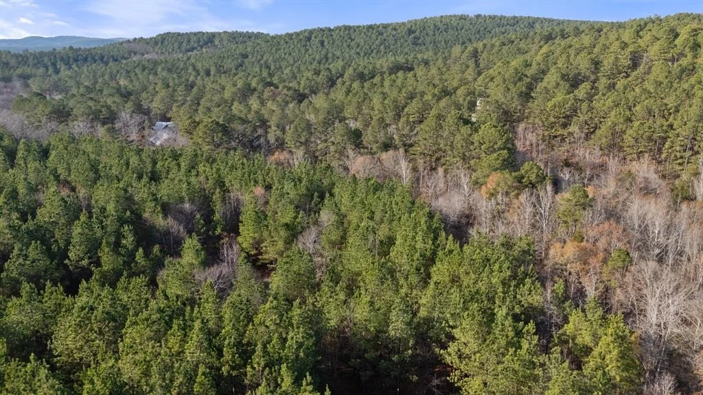 Photo of 315 Marked Pine Lane