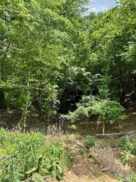 Photo of 694 Timber Creek Trails South XI
