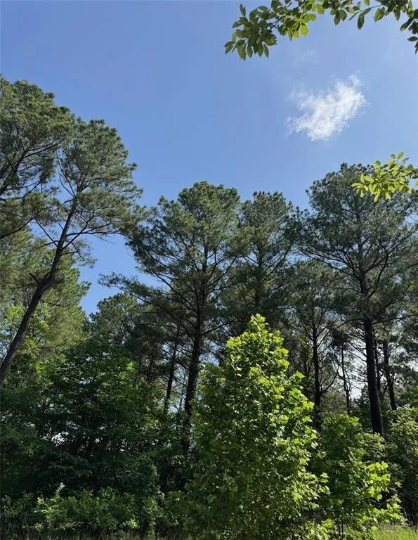 Photo of 49 Blue Maple Trail