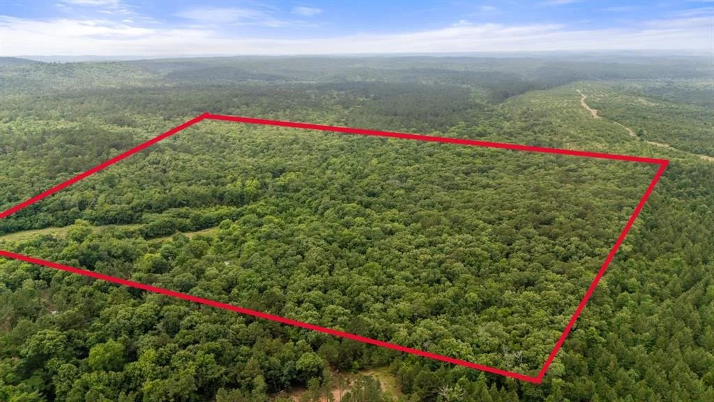 Photo of 219 Lost Hazel Trail