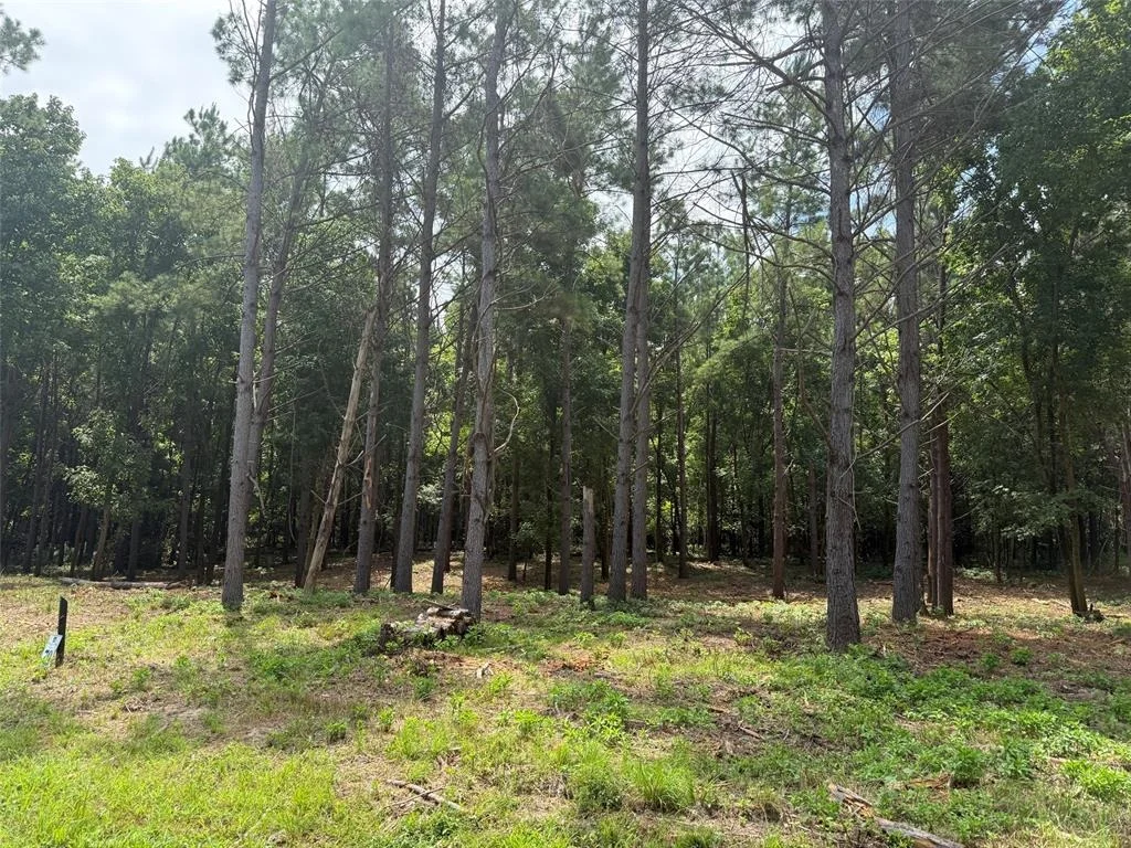 Photo of Unit LOT79 at 168 Cinnamon Teal Trail