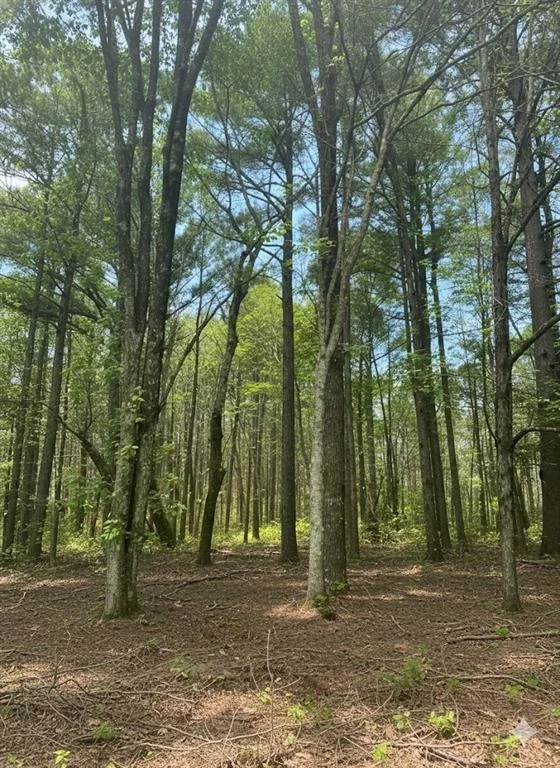 Photo of 778 Timber Creek Trail South XI