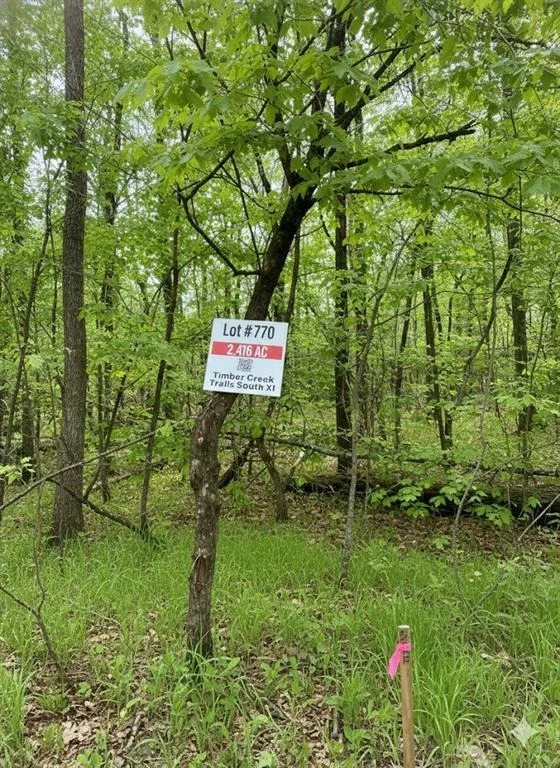 Photo of 770 Timber Creek Trails South XI